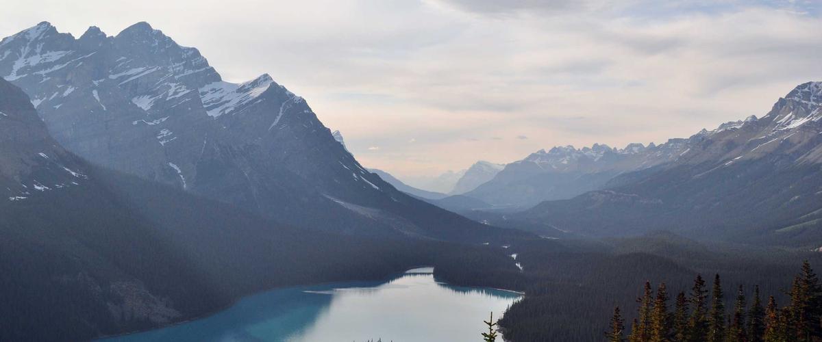 白平衡设置指南：还原真实色彩