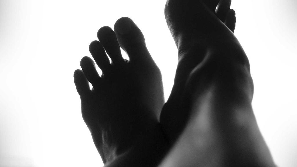 微距摄影入门：探索肉眼看不见的奇妙世界